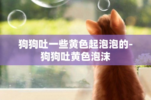 狗狗吐一些黃色起泡泡的-狗狗吐黃色泡沫