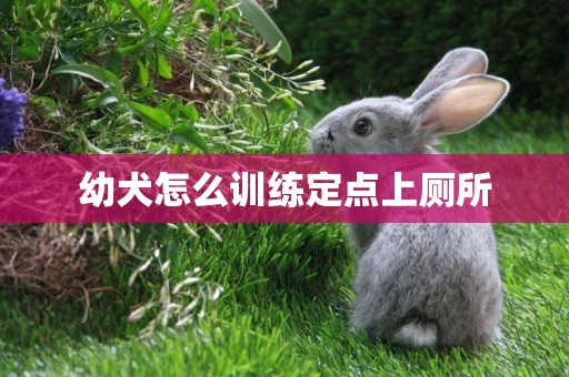 幼犬怎么訓練定點上廁所