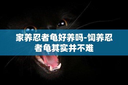 家養忍者龜好養嗎-飼養忍者龜其實并不難
