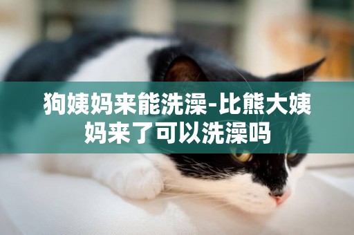 狗姨媽來能洗澡-比熊大姨媽來了可以洗澡嗎
