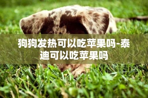 狗狗發熱可以吃蘋果嗎-泰迪可以吃蘋果嗎