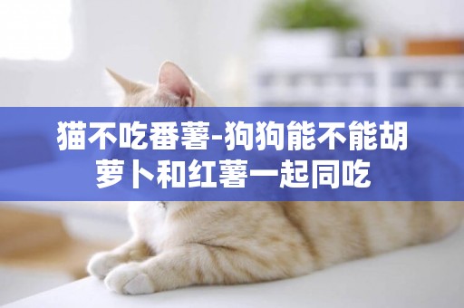 貓不吃番薯-狗狗能不能胡蘿卜和紅薯一起同吃
