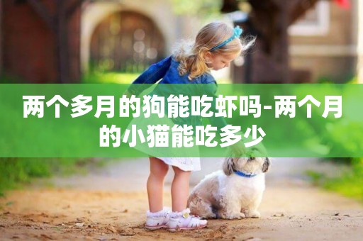 兩個多月的狗能吃蝦嗎-兩個月的小貓能吃多少