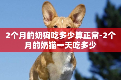 2個月的奶狗吃多少算正常-2個月的奶貓一天吃多少