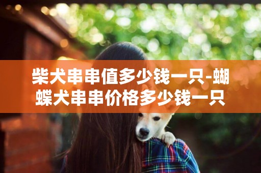 柴犬串串值多少錢一只-蝴蝶犬串串價格多少錢一只