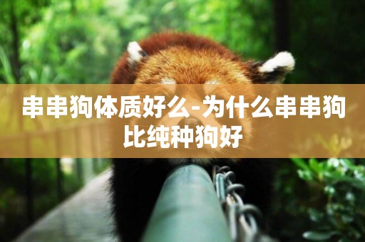 串串狗體質好么-為什么串串狗比純種狗好