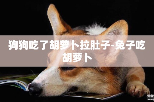狗狗吃了胡蘿卜拉肚子-兔子吃胡蘿卜
