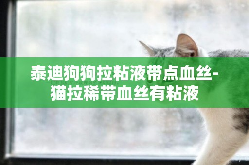 泰迪狗狗拉粘液帶點血絲-貓拉稀帶血絲有粘液