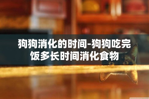 狗狗消化的時間-狗狗吃完飯多長時間消化食物