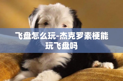 飛盤怎么玩-杰克羅素梗能玩飛盤嗎