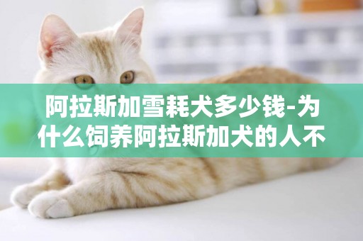 阿拉斯加雪耗犬多少錢-為什么飼養阿拉斯加犬的人不多