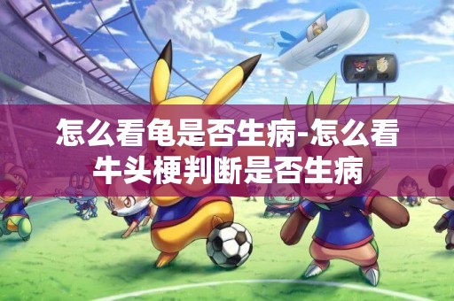 怎么看龜是否生病-怎么看牛頭梗判斷是否生病