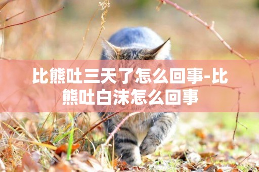 比熊吐三天了怎么回事-比熊吐白沫怎么回事