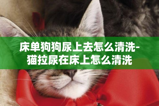 床單狗狗尿上去怎么清洗-貓拉尿在床上怎么清洗