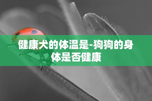 健康犬的體溫是-狗狗的身體是否健康