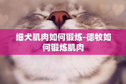 細犬肌肉如何鍛煉-德牧如何鍛煉肌肉