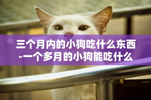 三個月內的小狗吃什么東西-一個多月的小狗能吃什么東西