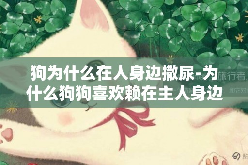狗為什么在人身邊撒尿-為什么狗狗喜歡賴在主人身邊睡覺