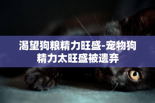 渴望狗糧精力旺盛-寵物狗精力太旺盛被遺棄