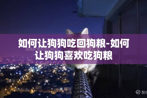 如何讓狗狗吃回狗糧-如何讓狗狗喜歡吃狗糧