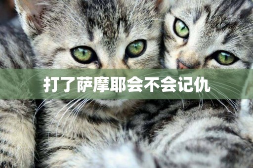 打了薩摩耶會不會記仇