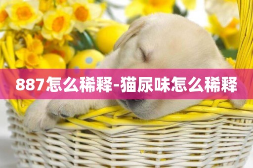 887怎么稀釋-貓尿味怎么稀釋