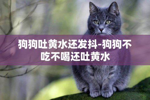 狗狗吐黃水還發抖-狗狗不吃不喝還吐黃水