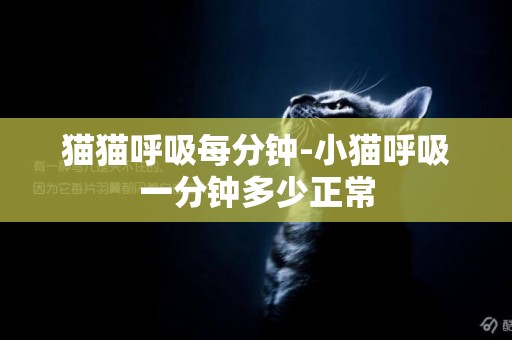 貓貓呼吸每分鐘-小貓呼吸一分鐘多少正常