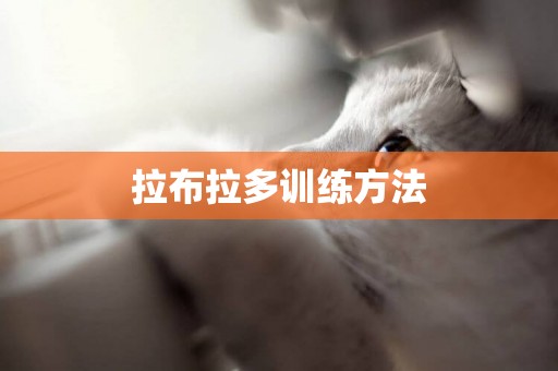拉布拉多訓練方法