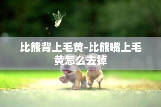 比熊背上毛黃-比熊嘴上毛黃怎么去掉