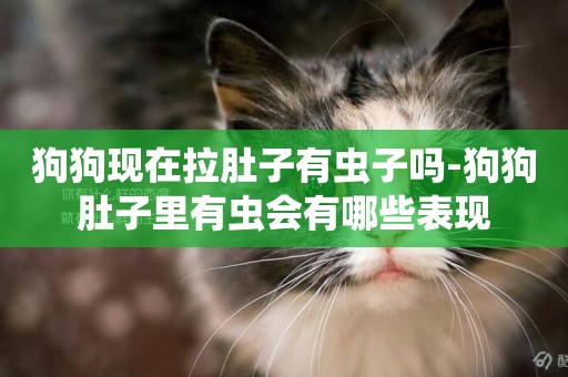 狗狗現在拉肚子有蟲子嗎-狗狗肚子里有蟲會有哪些表現