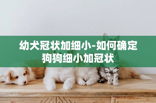 幼犬冠狀加細小-如何確定狗狗細小加冠狀