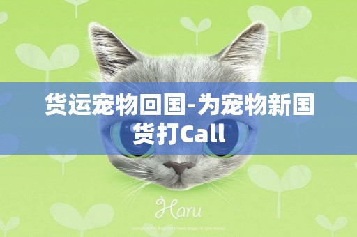 貨運寵物回國-為寵物新國貨打Call