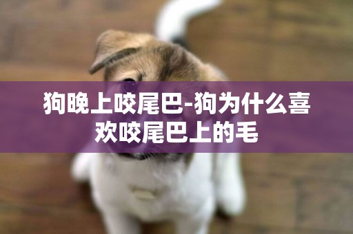 狗晚上咬尾巴-狗為什么喜歡咬尾巴上的毛