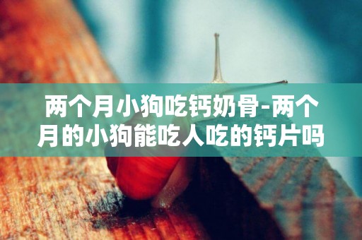 兩個月小狗吃鈣奶骨-兩個月的小狗能吃人吃的鈣片嗎