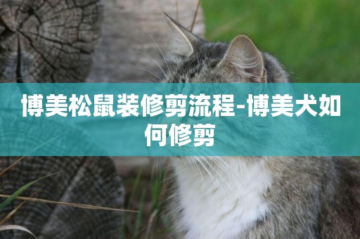 博美松鼠裝修剪流程-博美犬如何修剪