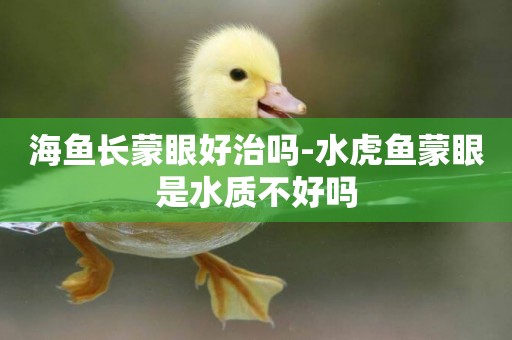 海魚長蒙眼好治嗎-水虎魚蒙眼是水質不好嗎