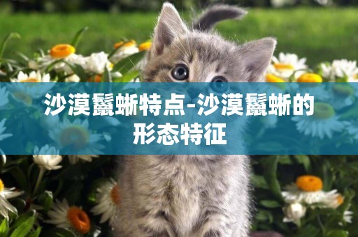 沙漠鬣蜥特點-沙漠鬣蜥的形態特征