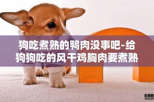 狗吃煮熟的鴨肉沒事吧-給狗狗吃的風干雞胸肉要煮熟嗎