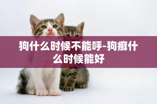 狗什么時候不能呼-狗癬什么時候能好
