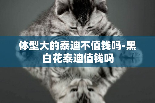 體型大的泰迪不值錢嗎-黑白花泰迪值錢嗎