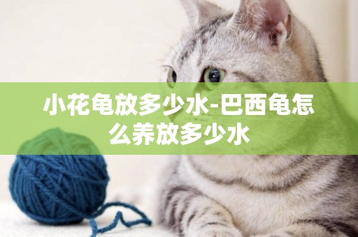 小花龜放多少水-巴西龜怎么養放多少水