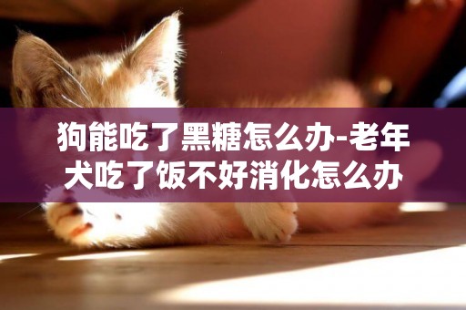 狗能吃了黑糖怎么辦-老年犬吃了飯不好消化怎么辦
