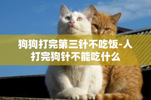 狗狗打完第三針不吃飯-人打完狗針不能吃什么