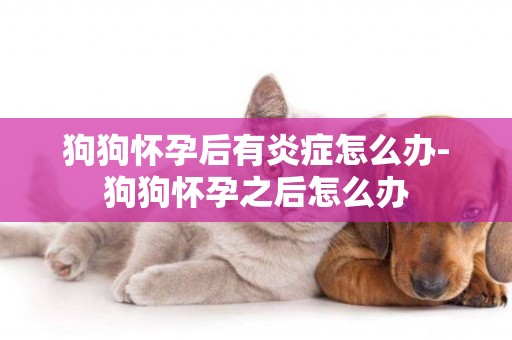狗狗懷孕后有炎癥怎么辦-狗狗懷孕之后怎么辦