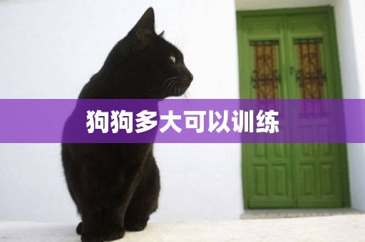 狗狗多大可以訓練