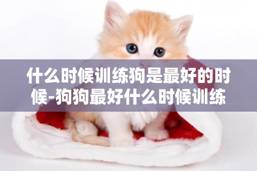 什么時候訓練狗是最好的時候-狗狗最好什么時候訓練