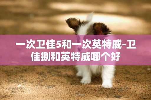 一次衛佳5和一次英特威-衛佳捌和英特威哪個好