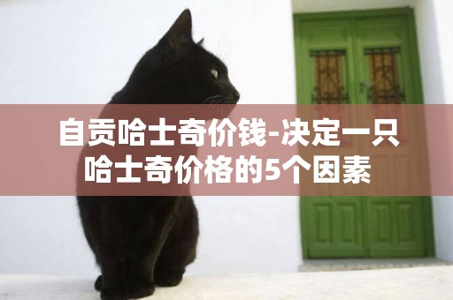 自貢哈士奇價錢-決定一只哈士奇價格的5個因素