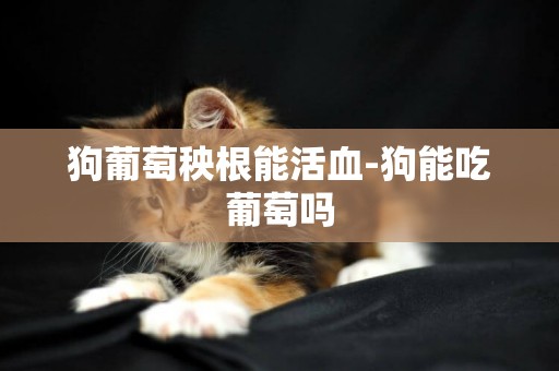 狗葡萄秧根能活血-狗能吃葡萄嗎
